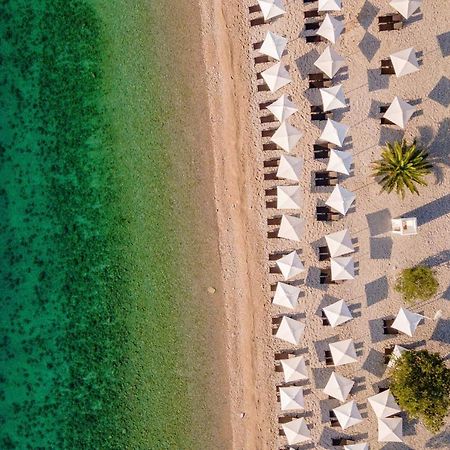 Campsite & Holiday Resort ميدفيجا المظهر الخارجي الصورة